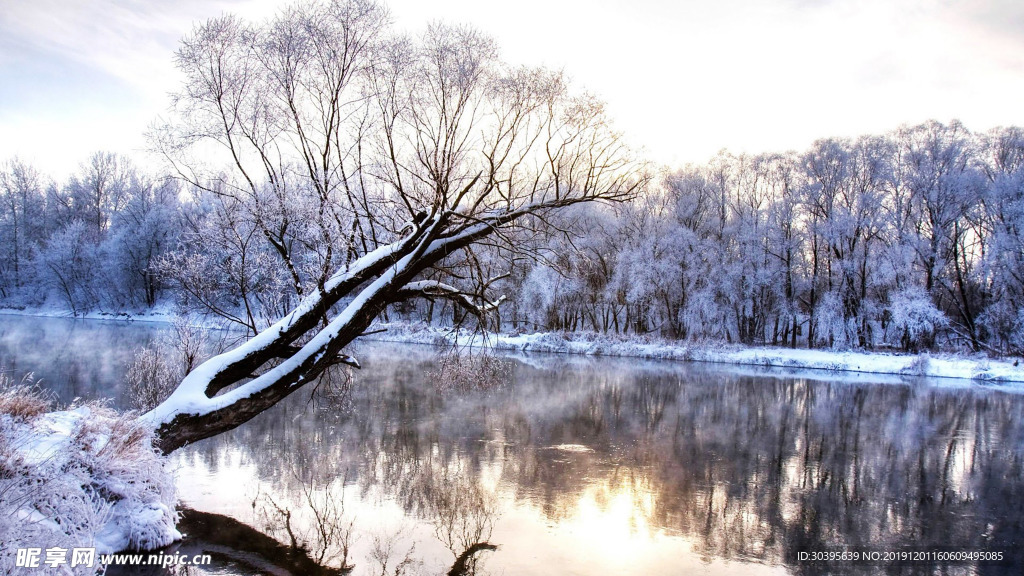 雪景