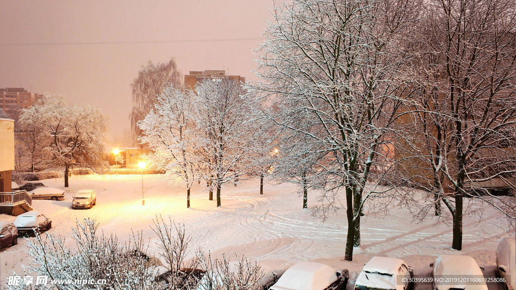 雪景