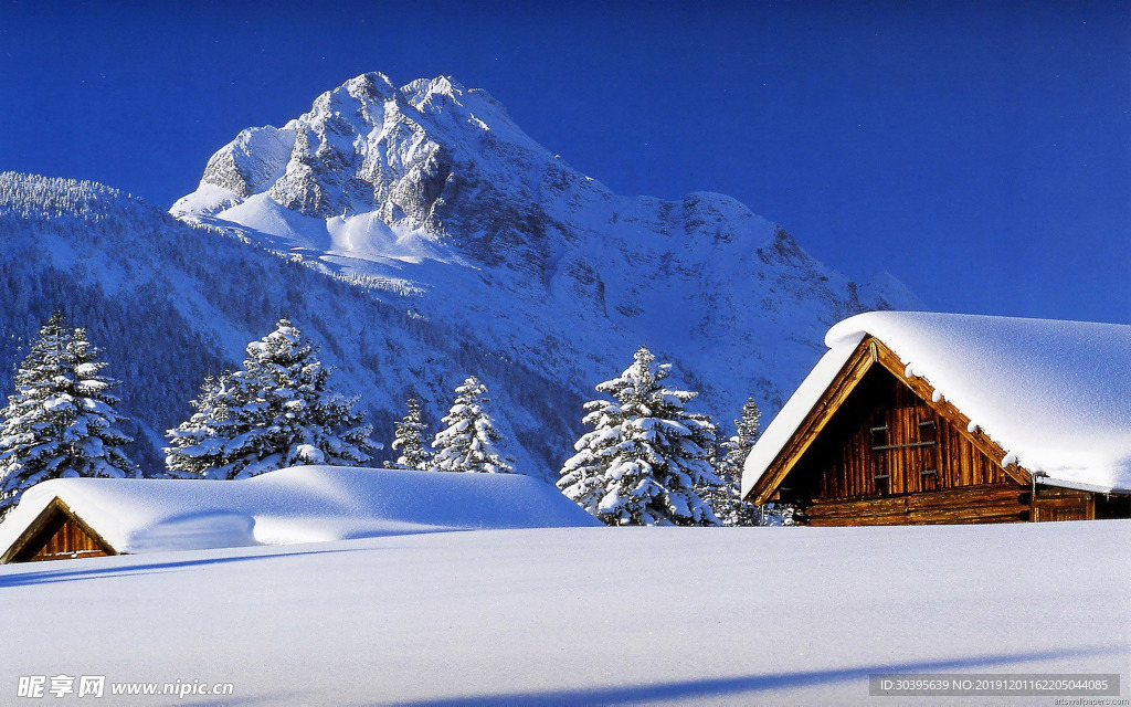 雪景