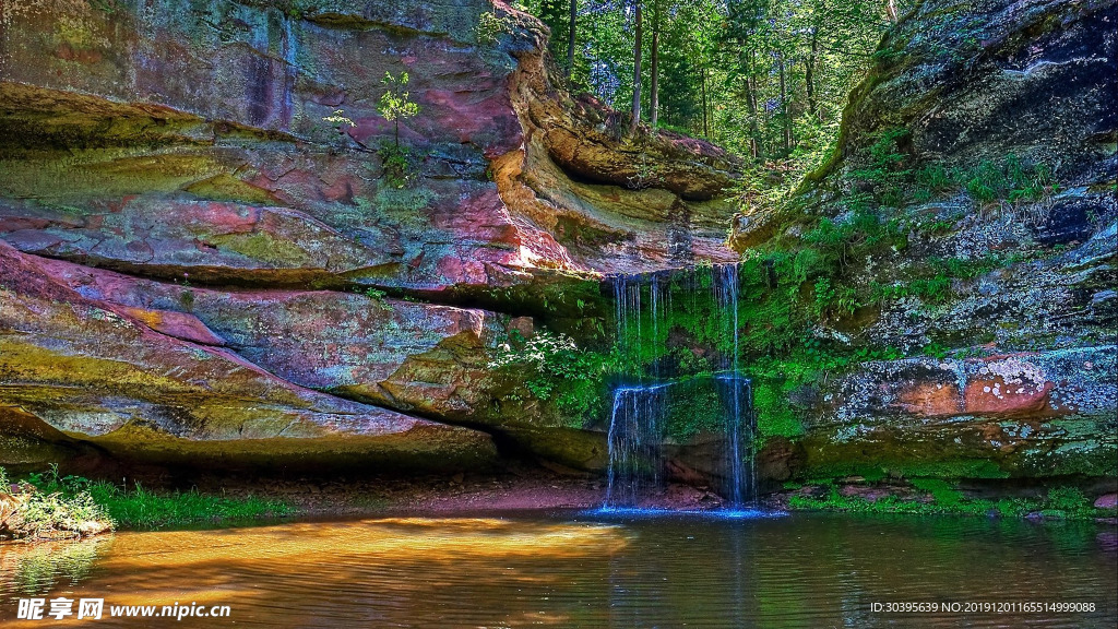 风景