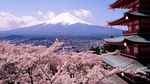 风景