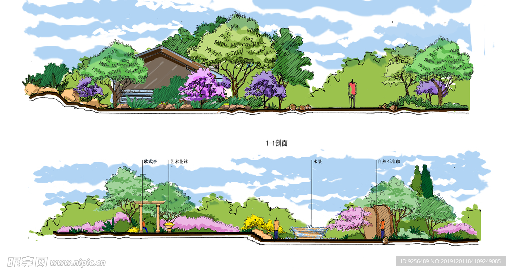 房屋道路绿化立面图