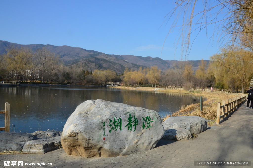 植物园风景