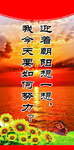 迎着朝阳想一想