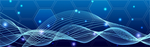 科技banner