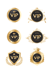 VIP图标