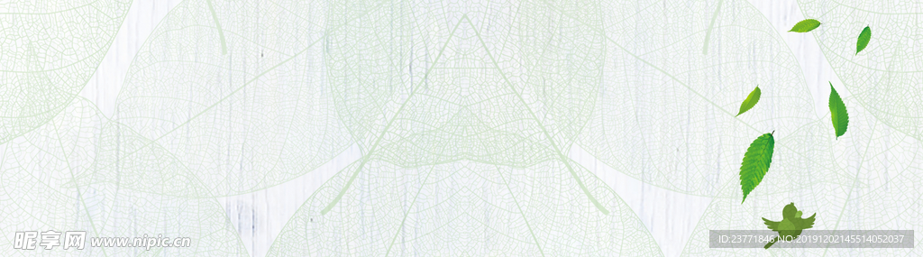 清新banner