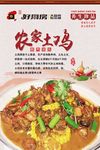 农家土鸡美食海报