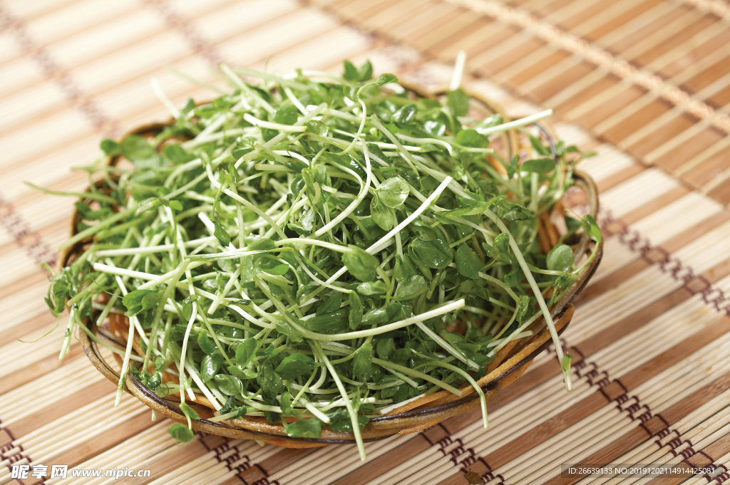 豆苗