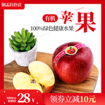 苹果banner