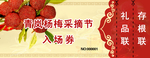 杨梅