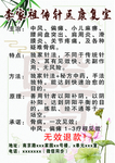针灸康复传单