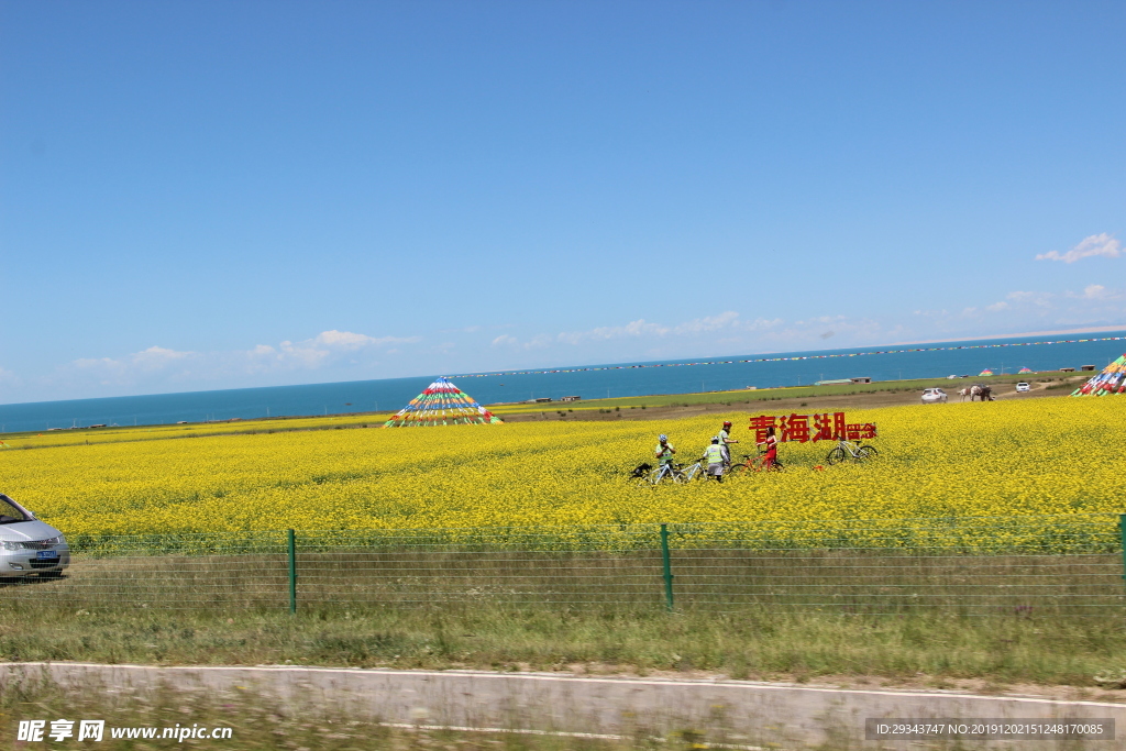 青海湖 骑行  花海  湖