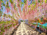 隧道