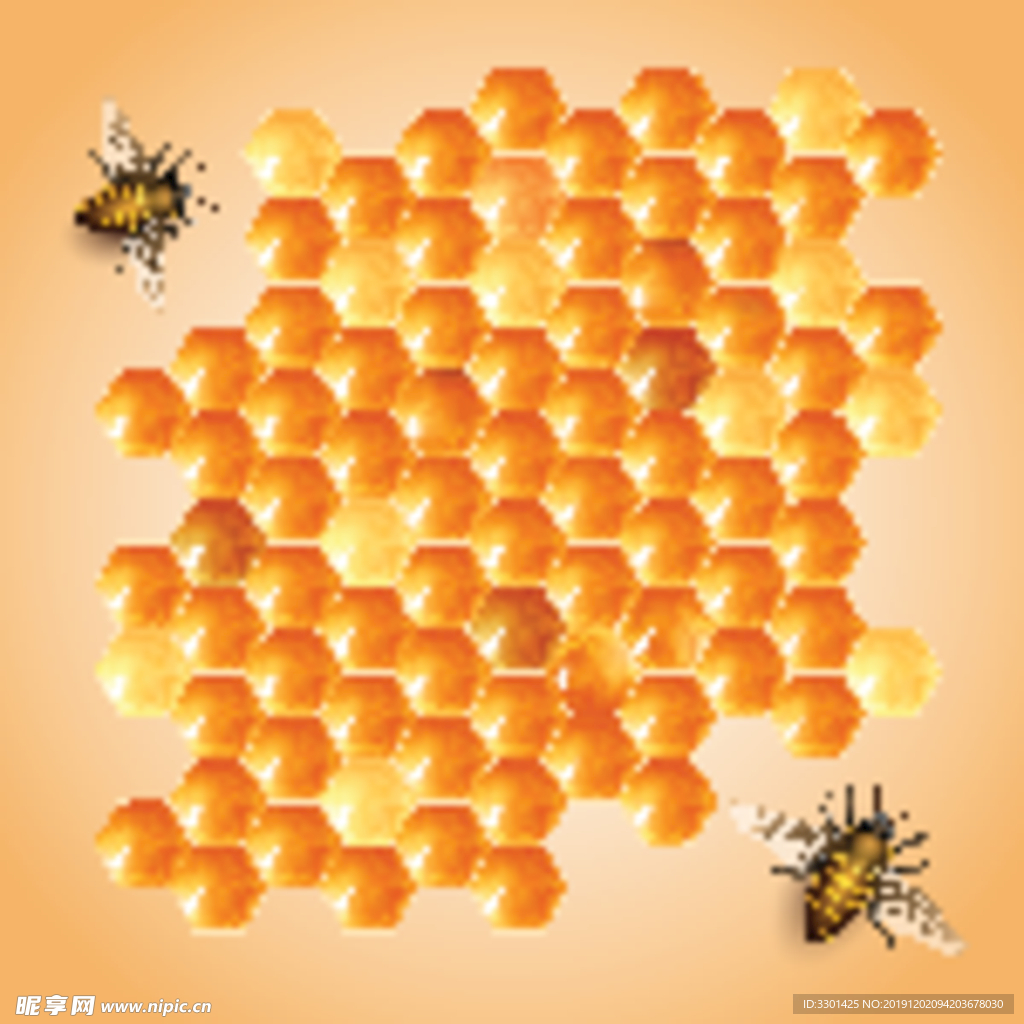 昆虫系列 小蜜蜂