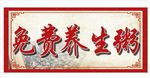 免费养生粥