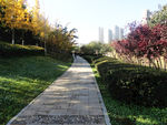 桃花潭公园