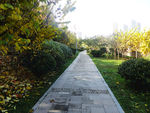 林间小路