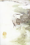 装饰画