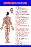 腰椎间盘突出埋线示意图