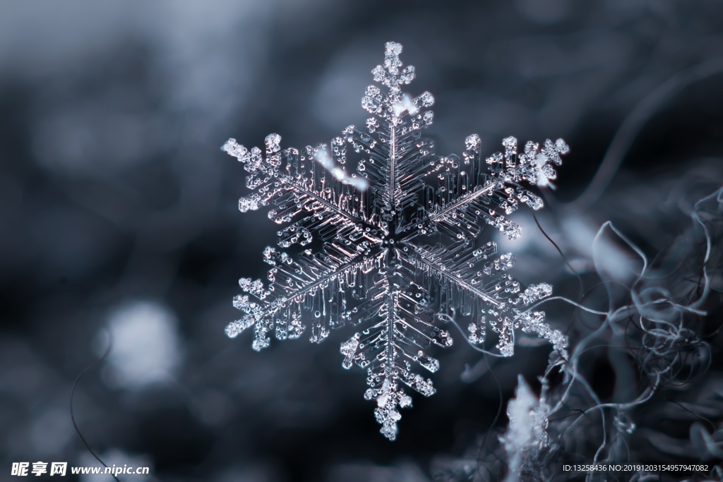 草地 雪花 冰晶 几何 背景