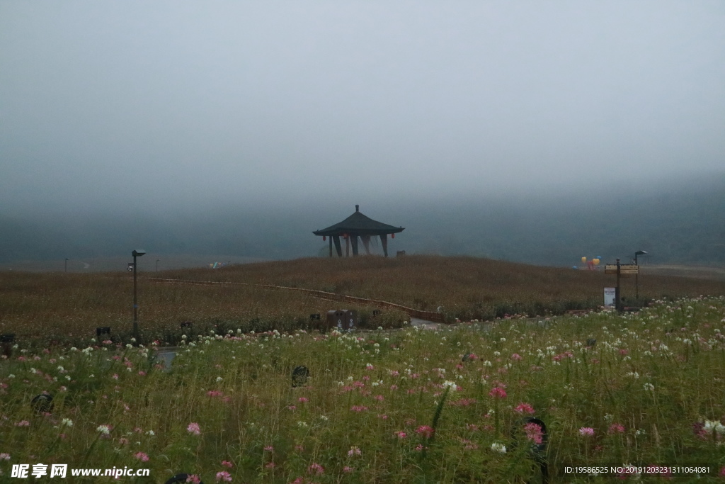 拈花湾建筑 亭子 草坪