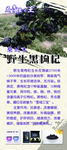 黑枸杞展架易拉宝