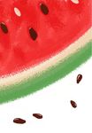 插画 西瓜