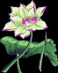 花