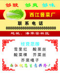 酱菜厂名片