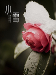 红花
