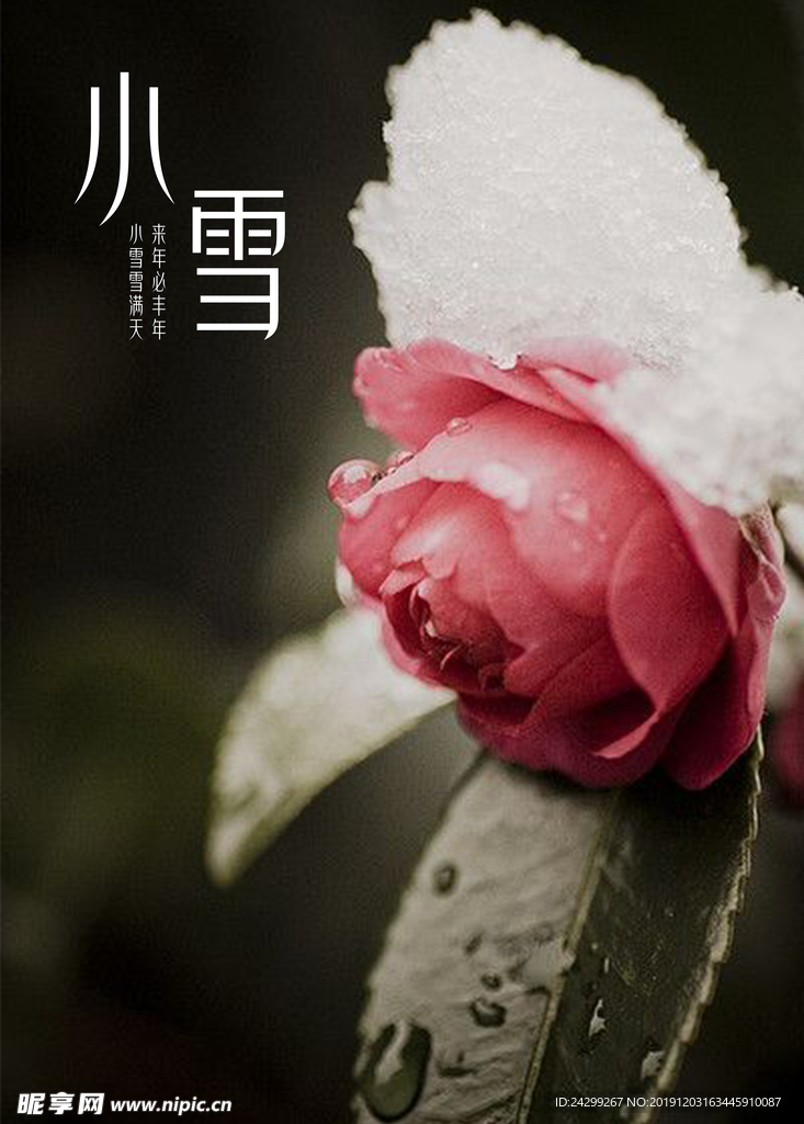 红花