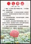 三七禁忌
