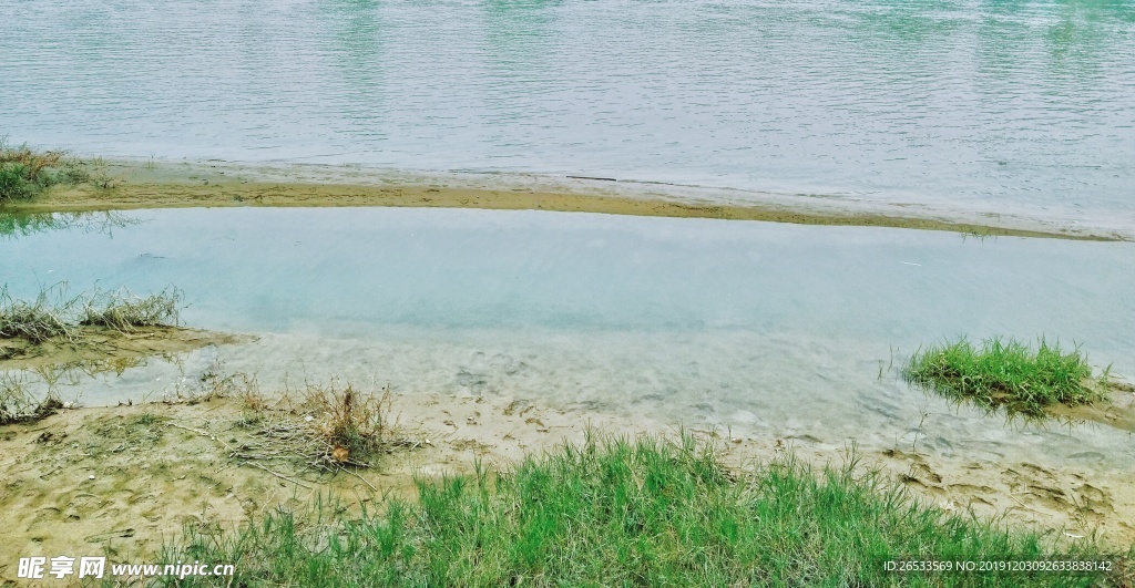 河流 野草 青草 绿色 河边