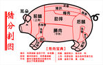 猪肉分割图