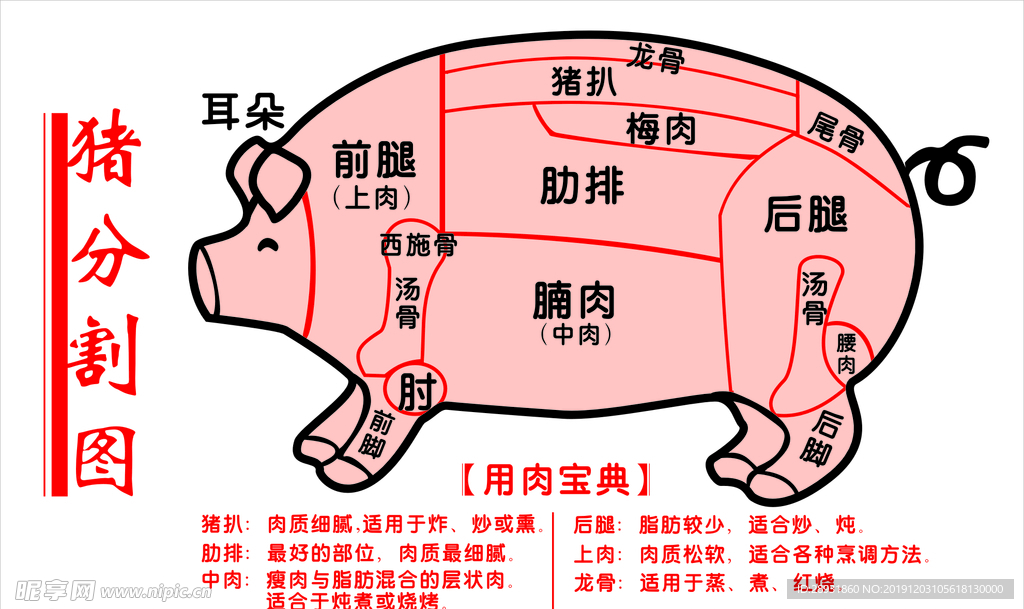 猪肉分割图