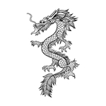 龙