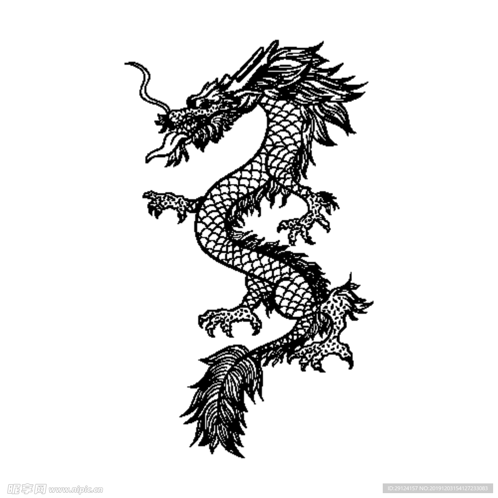 龙