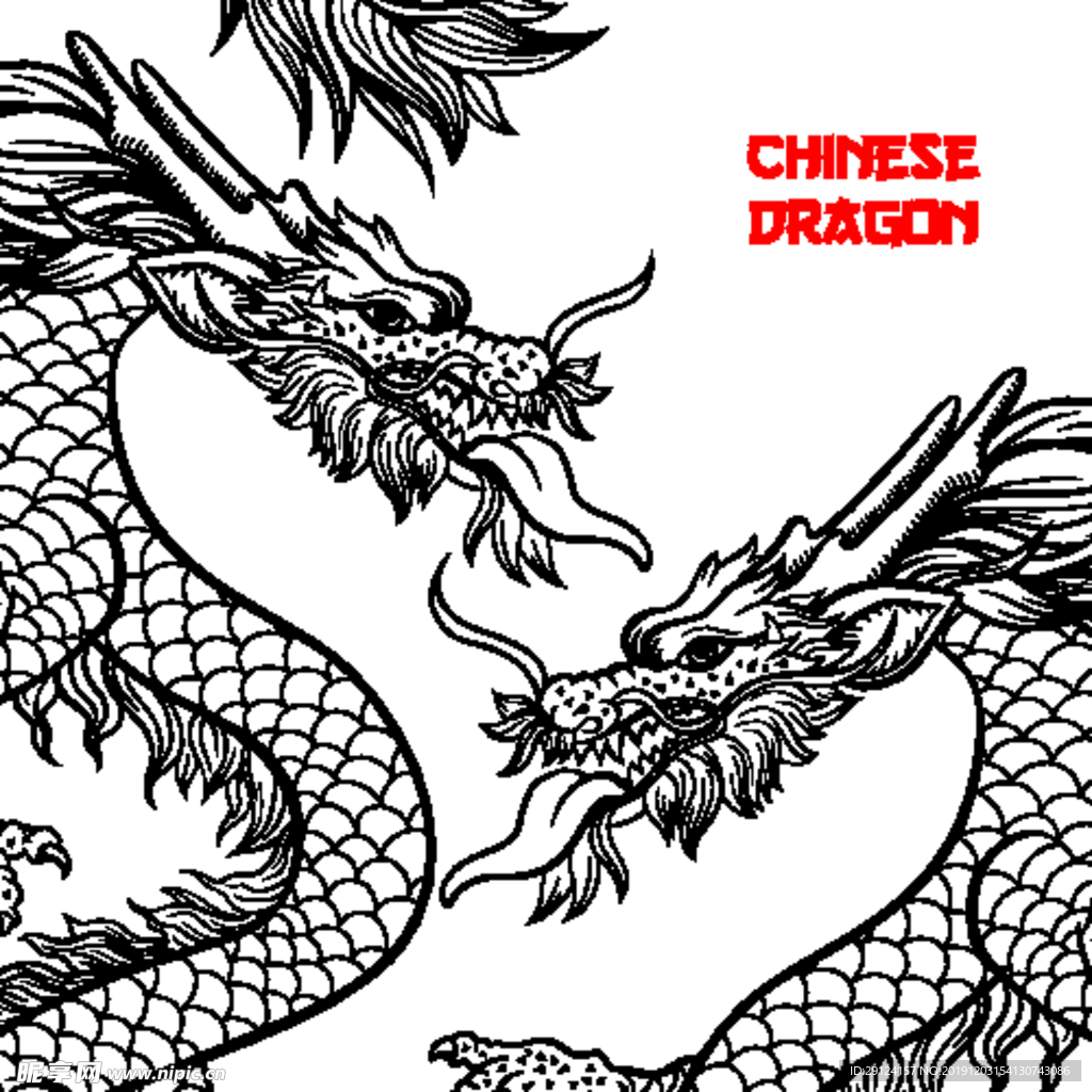 龙