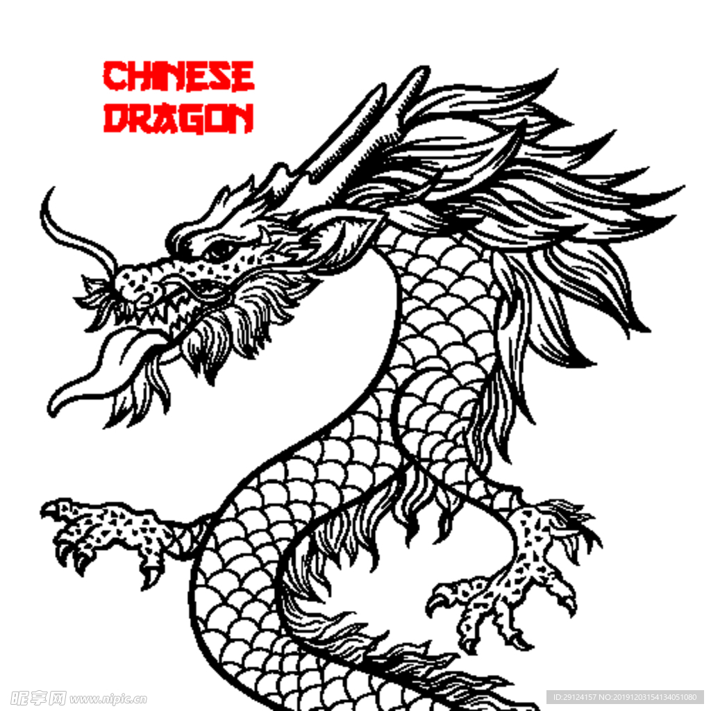 龙