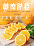 赣南脐橙宣传单 海报