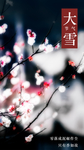 大雪 二十四节气