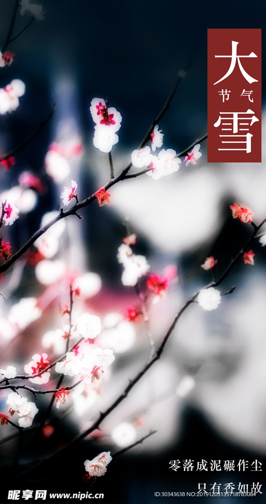 大雪 二十四节气