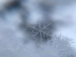 雪花