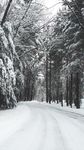 雪路