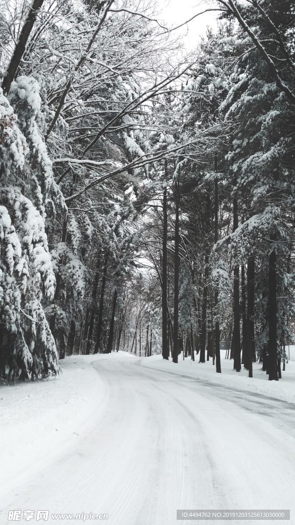 雪路