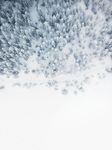 雪