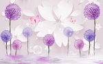 蒲公英
