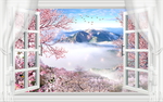 青山