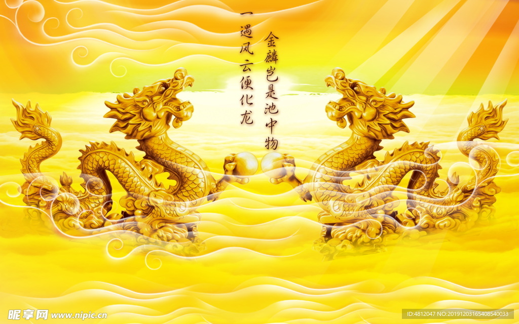 双金龙